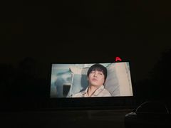 -枫花园汽车电影院(朝阳公园店)