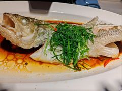 -院里寻菜·精致庭院菜(观沙岭店)