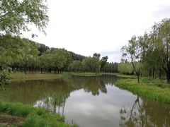 -东郊湿地公园