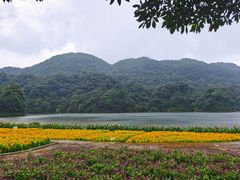 -广州市石门国家森林公园
