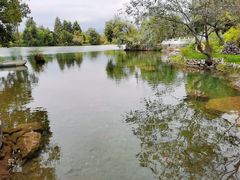-黑龙潭公园