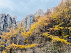 -崂山巨峰游览区