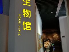 景点-广东省博物馆