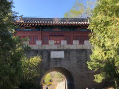 -云岗森林公园