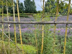 -紫颐香薰山谷景区