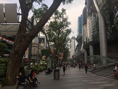 -爱雍·乌节