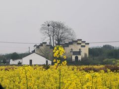 -游子山休闲旅游区