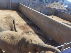 -西霞口神雕山野生动物世界