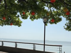 -巢湖姥山岛
