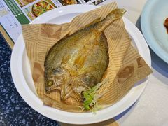 -鸽小宝(深圳首店)