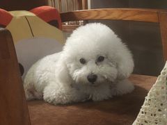-默迹咖啡馆