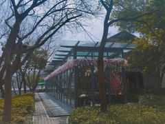 -星巴克(西湖天地店)
