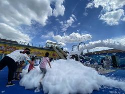 -小蜜蜂农场(凯德七宝购物广场店)