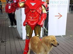 -东浩兰生上海世博展览馆