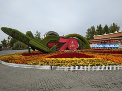 -大兴滨河森林公园