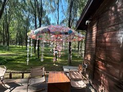 -长白岛森林公园