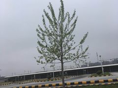 -胜华驾校·小猫学车(银都店)