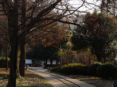 -冶山国家矿山公园