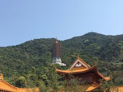 -深圳仙湖植物园