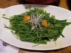 -梦田音乐miniLIVE(漳州店)