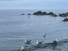 -银沙滩浴场