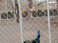 -大连铭湖国际观光牧场