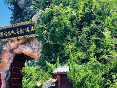 -大槐树寻根祭祖园