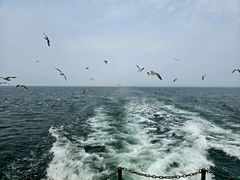 -海驴岛(荣成市)