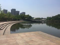 -新江湾城公园