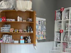 -关爱宠物医院·猫科中心·消化科(滨湖万达分院)