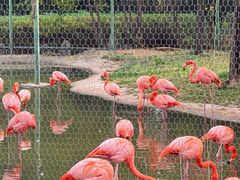 -石家庄市动物园