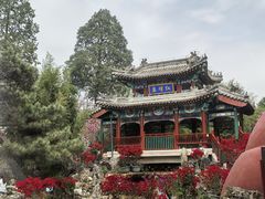 -红螺寺