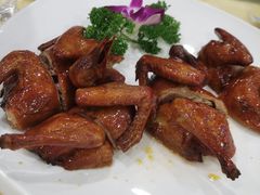 -新梅园不夜粥(龙华店)