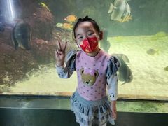 -苏州海洋馆