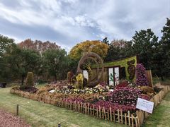 -上海共青森林公园