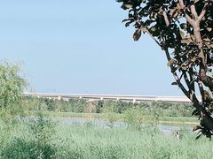 -绿堤公园