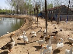 -东郊湿地公园