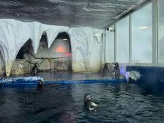 -太平洋海底世界