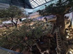-武汉园博园(武汉自然博物馆)