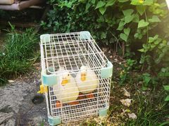 -玉舌尖私房菜(裕华店)