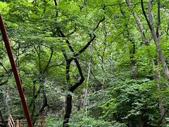 -天门寺