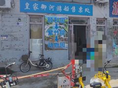 -皇家御河游(紫御湾码头)