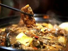 -火焰金龟甲(汉阳江滩旗舰店)