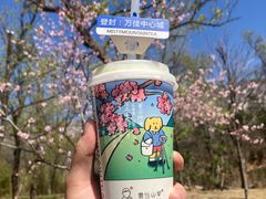 -雾与山茶(大禹城店)