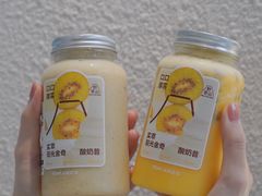 -野萃山·潮汕厚果汁(十亩地店)
