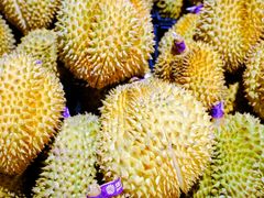 -AEON永旺(东方宝泰店)