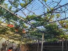 -伊隆斋(什刹海店)