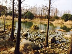 iphone_upload_pic-新江湾城公园