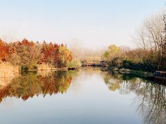 -溱湖国家湿地公园