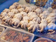 -铭聚章鱼土笋冻(松柏店)